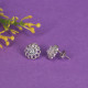 Silver Earring