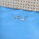 Silver Earring