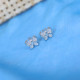 Silver Earring