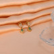 Mini Set Earring