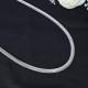 Silver Chain