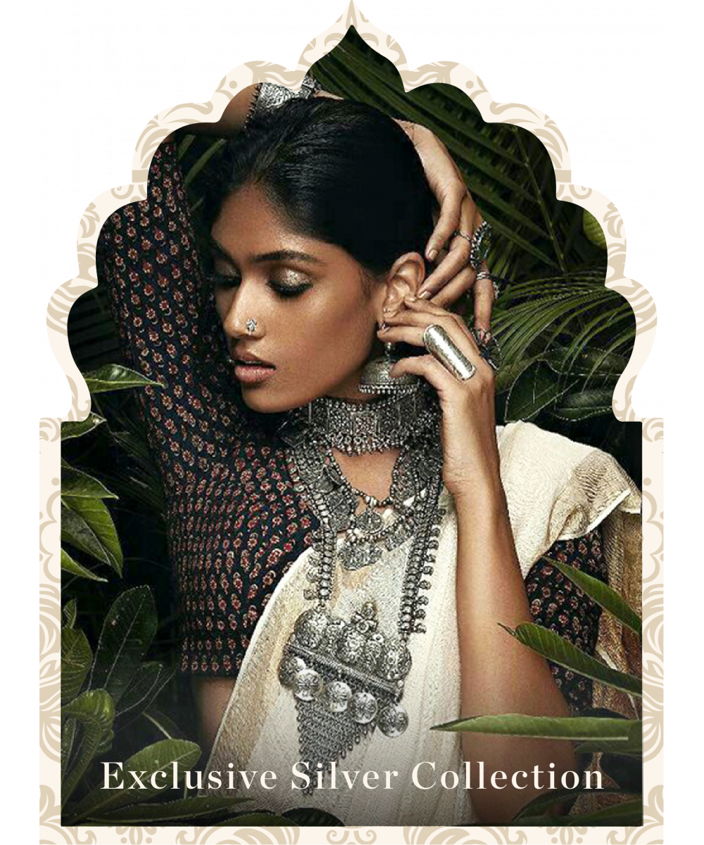 Exclusive Silver Collection